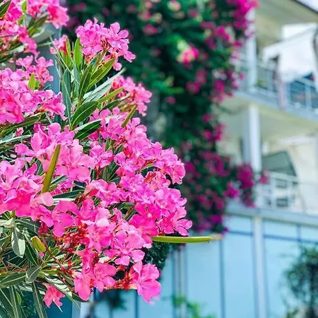 Central House With Stunning Terrace 3 Br Lejlighed